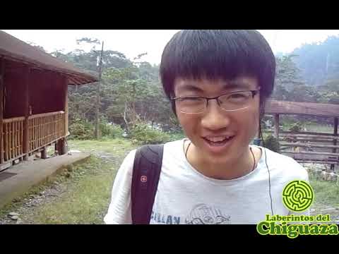Video 25