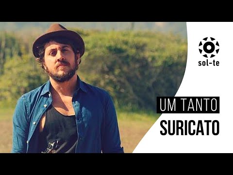 Suricato - Um Tanto (Sol-te) [Áudio Oficial]