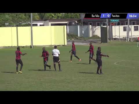 Blue Valley Pips Phoenix FC