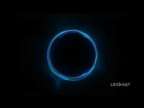 Led Cat - Serenity