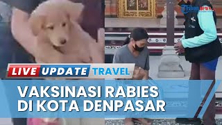 Marak Manusia Digigit Anjing, Dinas Pertanian Denpasar Lakukan Vaksinasi Rabies secara Door to Door