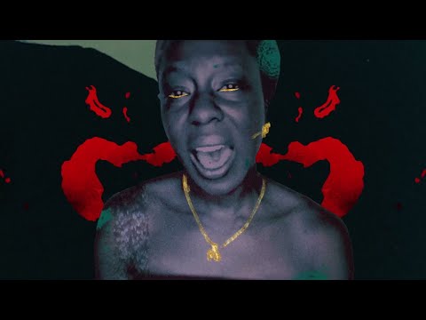 The Brkn Record - On the Daily (feat Ugochi Nwaogwugwu) (Official Video)