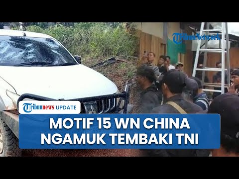 Aksi Barbar 15 WN China Serang TNI di Area Tambang Emas Ketapang Pakai Air Softgun & Setrum