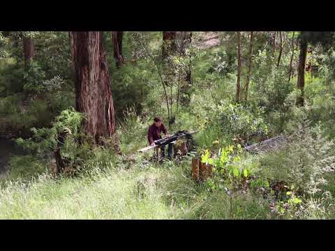 David Shea   The 55th Birthday Concert