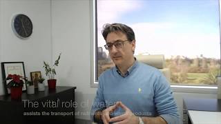 How much water should I drink?