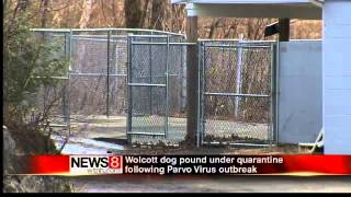 preview picture of video 'Parvo leads to quarantine at Wolcott dog pound'