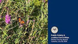 Peoria County Public Safety & Justice Committee