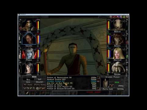 Wizardry 8 Reforged 17 - New home