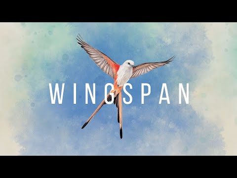 Wingspan Board Game Music (with Ambient Sounds)
