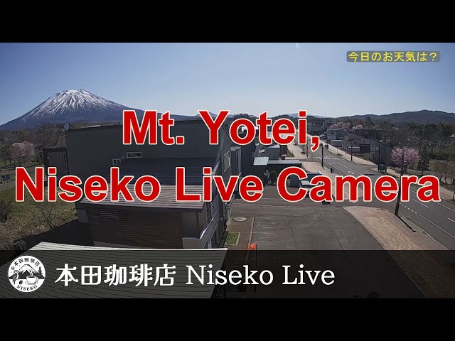 羊蹄山（本田珈琲店から）