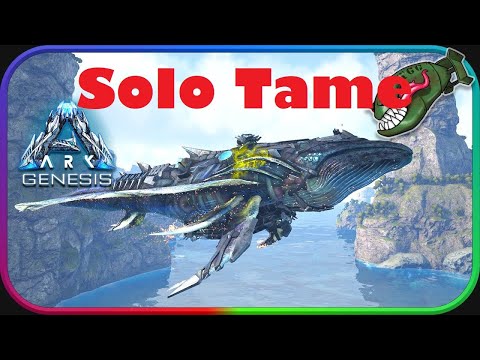 How to SOLO tame Astrocetus Space Whale