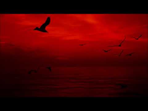 Fictivision Vs Phynn - Escape Phynn Mix