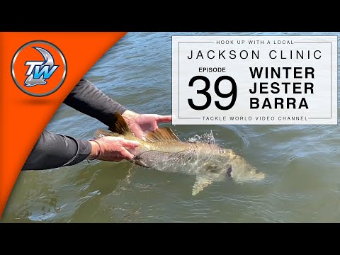 Jackson's Jester Lure Catches Winter Barra
