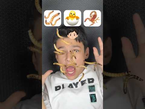 Quem assustou mais com o escorpião?!😱 #shorts #challenge