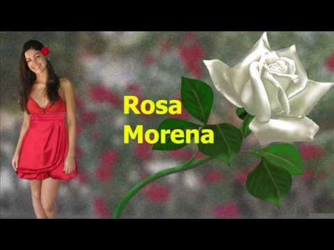 Rosa Morena video
