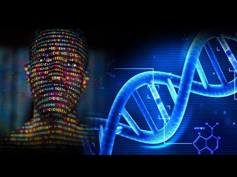 What the hell is Quantum Biology?