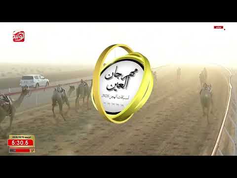 ش 5 (الجانح) لـ علي حويل بن مهدي ال عامر 8:12:95 ، مهرجان العين 2026/09/18 زمول الروضة