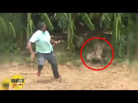 Loi Kedun Loi by Pachong Mading