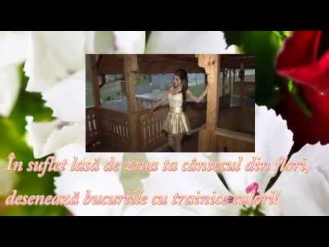 A&M Studio.Majorat Adina