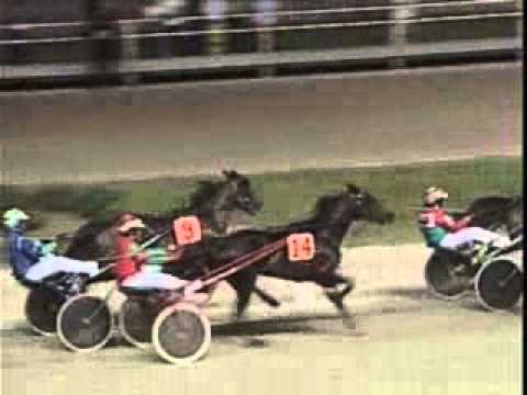 Premio Nazionale 2005 -Faliero As