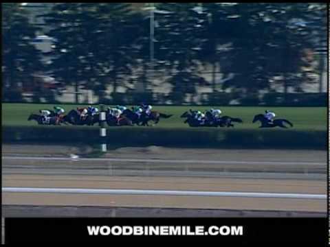 2006 WOODBINE MILE