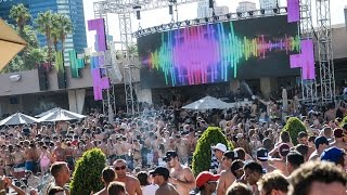 Wet Republic Lineup 0328 and 0329 DJ Irie and Showtek