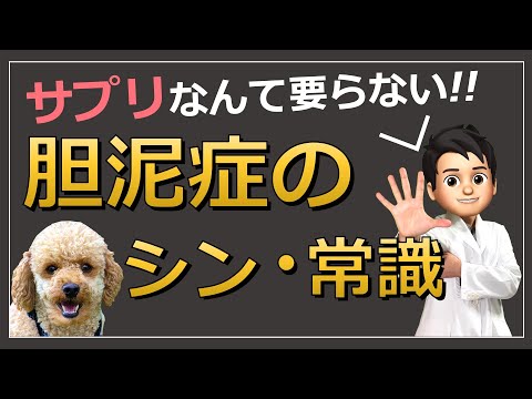 胆泥とは何か、症状、原因、治療法 - 健康ラボ