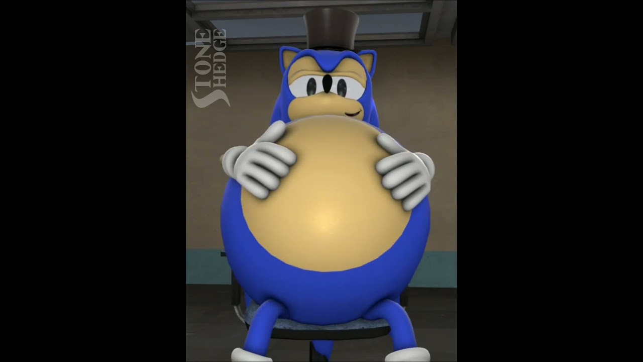Sonic The 