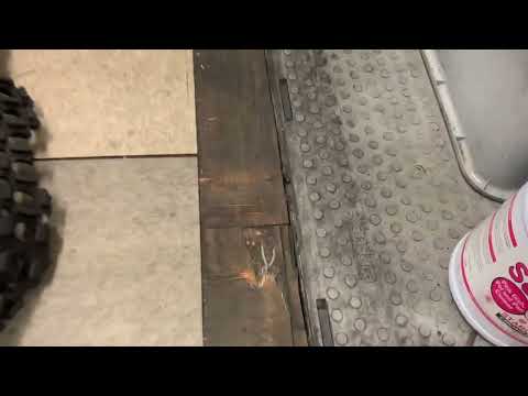 Massive Oriental Cockroach Infestation in the Store Room in Peapack, NJ