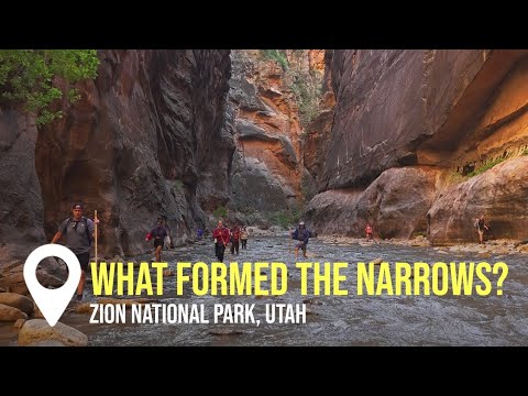 Zion's Narrows Refute Uniformitarian Thinking! | Creation on Location