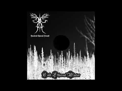 Ancient Boreal Forest - Cold Ethereal Winter (Full Album)