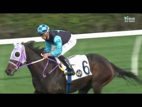 2022/23 (368) - Super Sunny Sing (新力高升) - 何澤堯 (增程後上贏得更易)