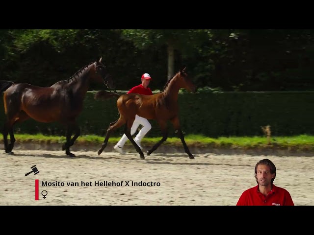 Delta ter Molenhoek