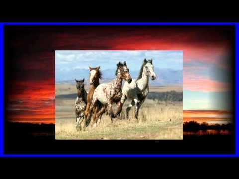 SEVEN HORSES IN THE SKY -- THE PEBBLES