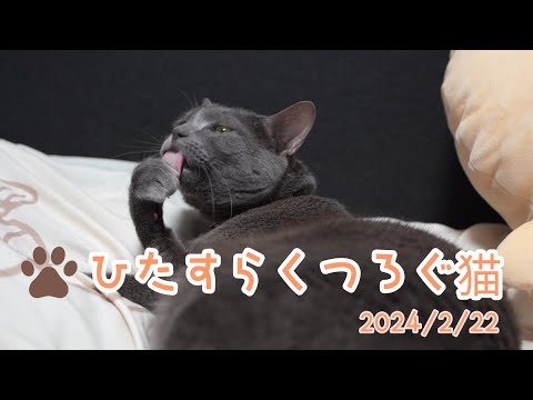 MATENROU OPERA YO official CHANNEL