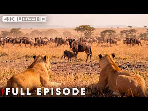 Savanna's Deadliest Instinct & Survival (Full Episode)