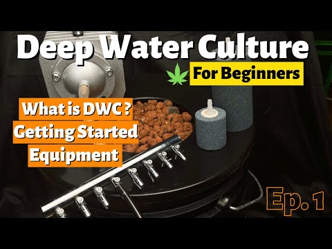 , title : 'Deep Water Culture (DWC) Hydroponics For Beginners Ep.1 - What Is DWC, Equipment, Getting Started'
