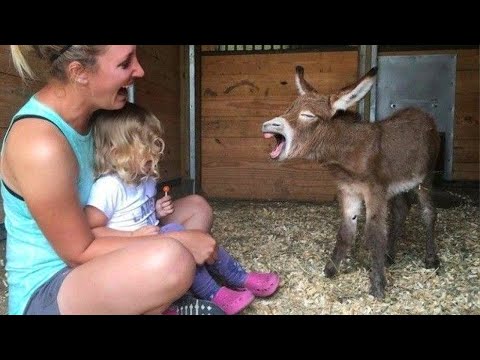 Quand bébés et animaux forment le duo ultime !
