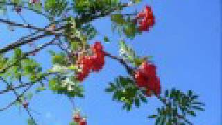 Especialmente En Abril Lyrics English Translation