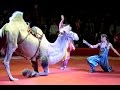Московский цирк Юрия Никулина на Цветном бульваре 