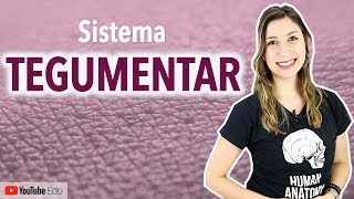 Sistema Tegumentar 1/4: Introdução | Anatomia etc