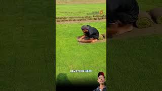 Download lagu Teknik panen rumput jepang #pertanian #kreatif #satisfying #shortsfeed mp3