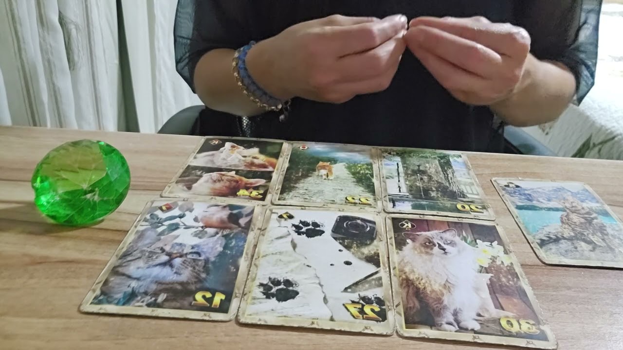 O QUE VAI ACONTECER NA TUA VIDA AMOROSA? 27 99811 6845