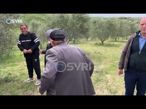 Qeveria u merr tokën banorëve në Belsh. Kryebashkiaku gënjen publikisht banorët