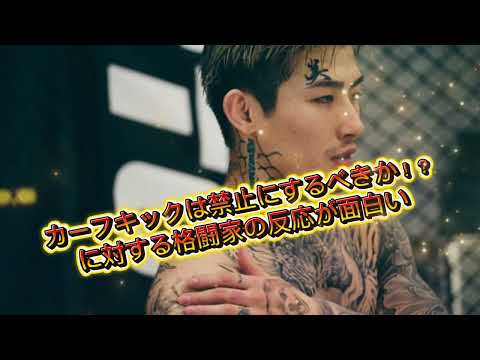 【堀口最強】カーフキックは禁止にするべきかに対する格闘家の反応が面白い【おぎちゃんも最強】