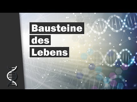 Fascinating insights into the building blocks of life: Evidence of creation | Dr. Boris Schmidtgall