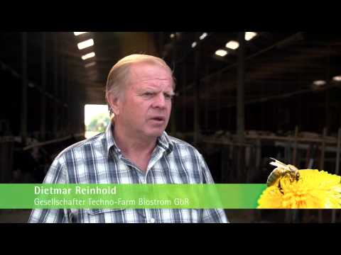 Umweltpreis 2013 -- Finalist: Techno-Farm GbR und Techno-Farm Biostrom GbR