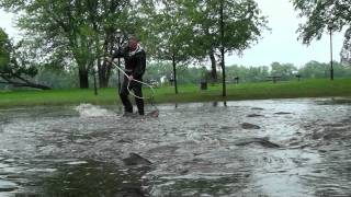 preview picture of video 'Connecticut River Carp Rodeo'