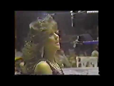 WWF Championship Hulk Hogan vs  Macho Man Randy Savage