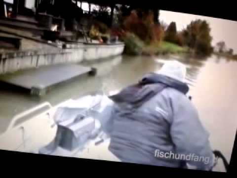 Matze Koch Auf Zander/Hecht